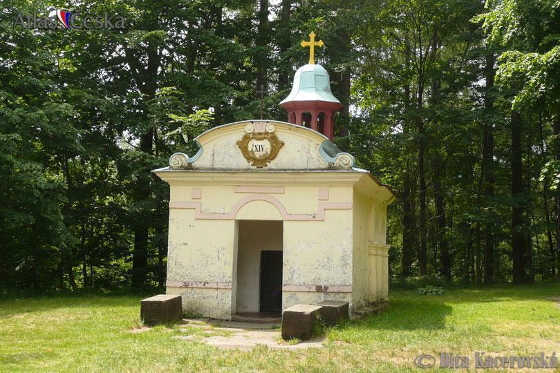 Chata Pod Tolstejnem Villa Jiřetín pod Jedlovou Kültér fotó